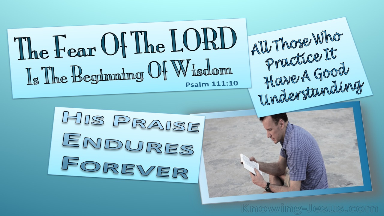 Psalm 110:10 The Fear Of The Lord Is The Beginning Of Wisdom (aqua)